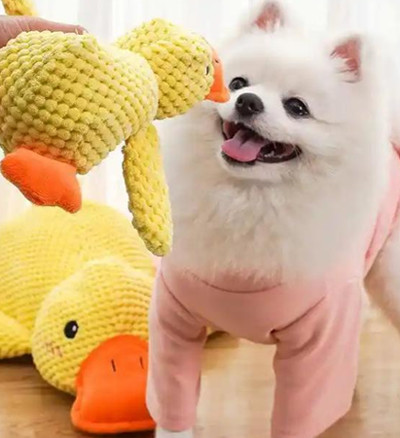 婴儿纸尿裤、拉拉裤_复制_复制_复制